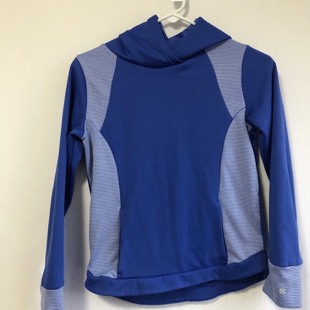 Champion blue hoodie
